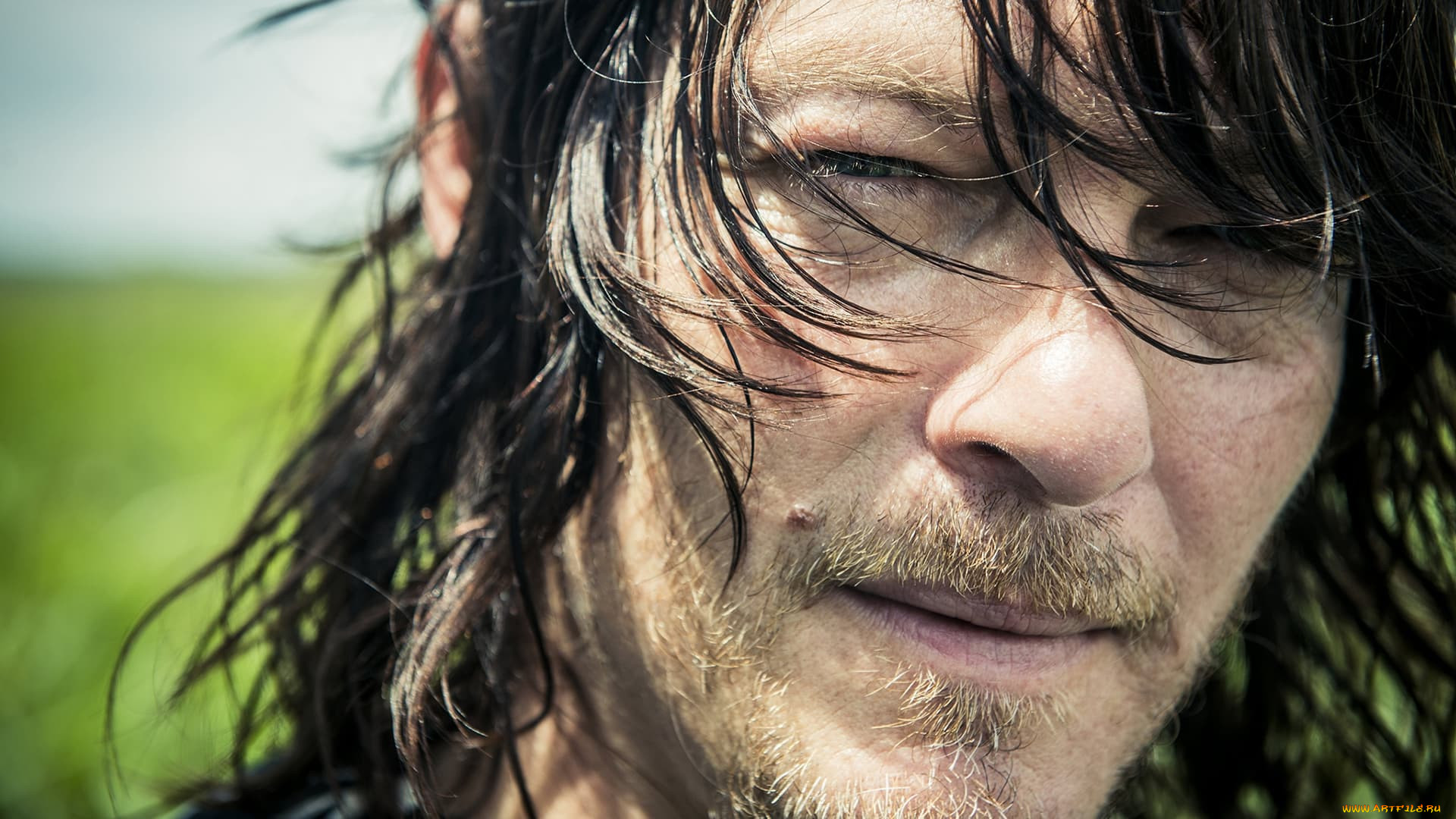 , norman reedus, norman, reedus